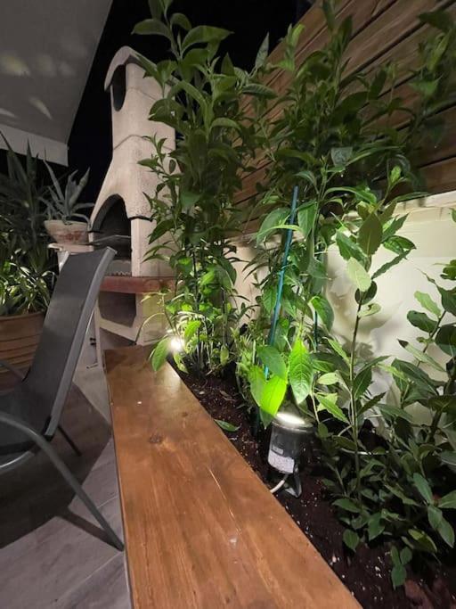 Acropolis Lux Apartment Athen Eksteriør billede